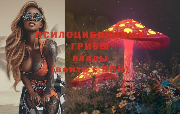 МДПВ Новочеркасск