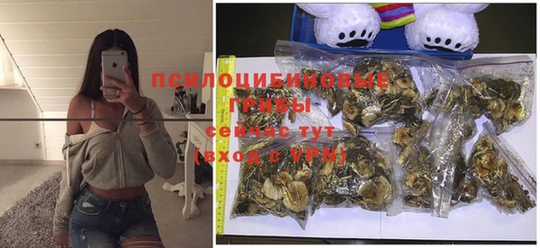 PSILOCYBIN Волгодонск
