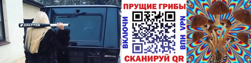 Галлюциногенные грибы MAGIC MUSHROOMS  магазин  наркотиков  KRAKEN ССЫЛКА  Вилючинск 